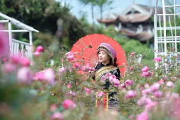 Mùa hoa hồng tại Fansipan