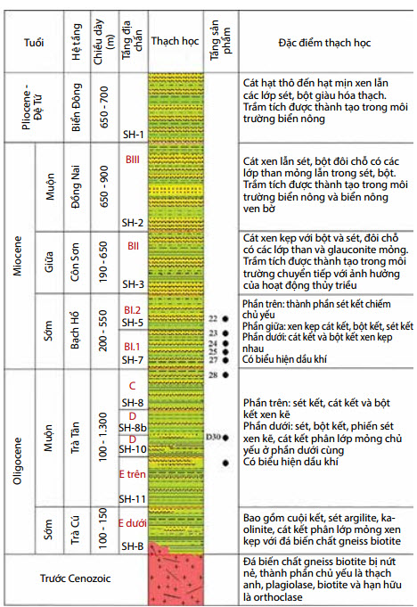 dac diem tuong va moi truong tram tich oligocene muon khu vuc tay bac lo 09 312 be cuu long