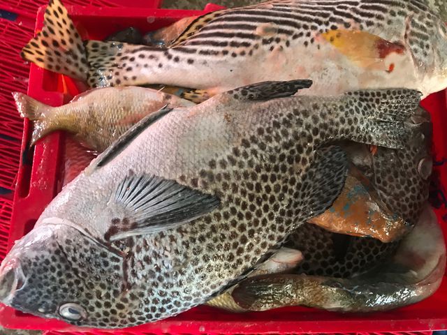 nhung cu dan hoang sa hien ngang vuon khoi cung la co to quoc