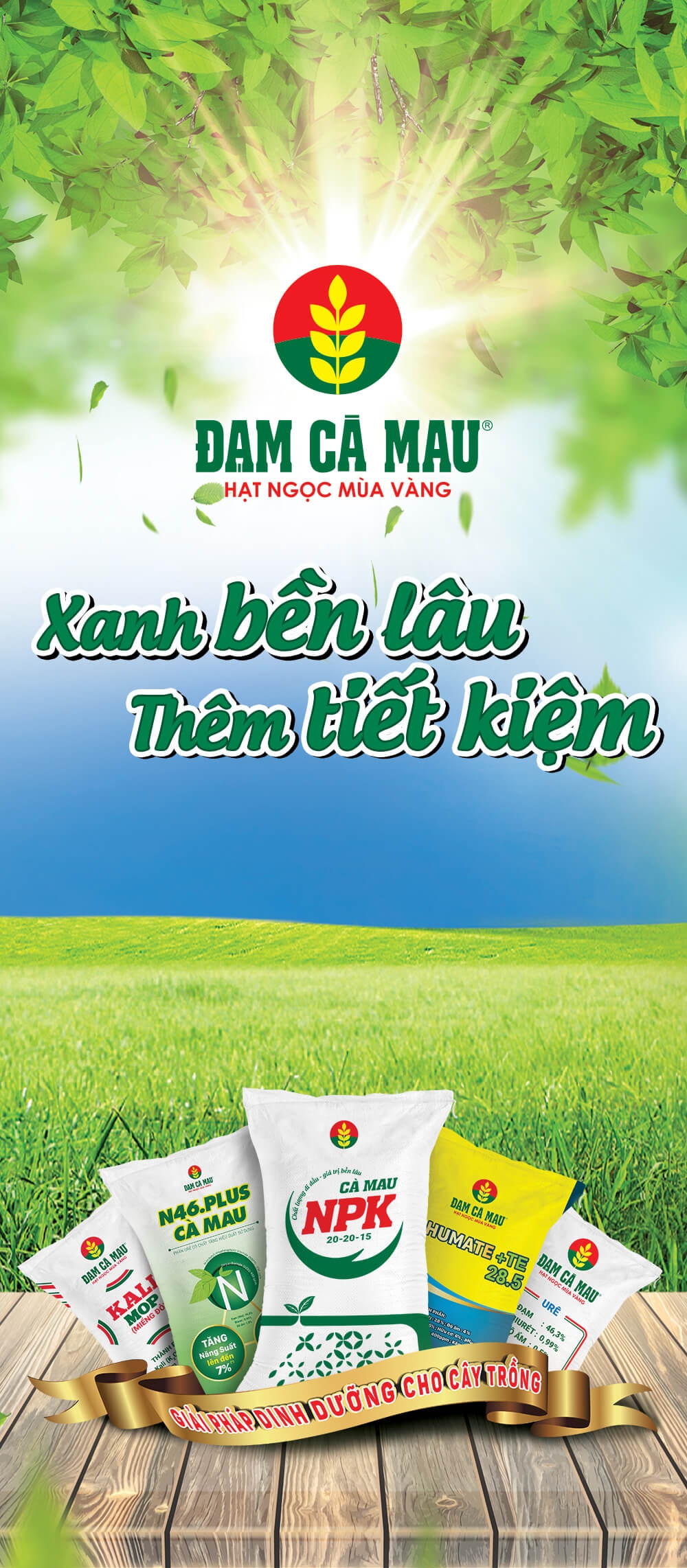 pvcfc nen tang vung tu viec boi duong con nguoi va phat huy noi luc