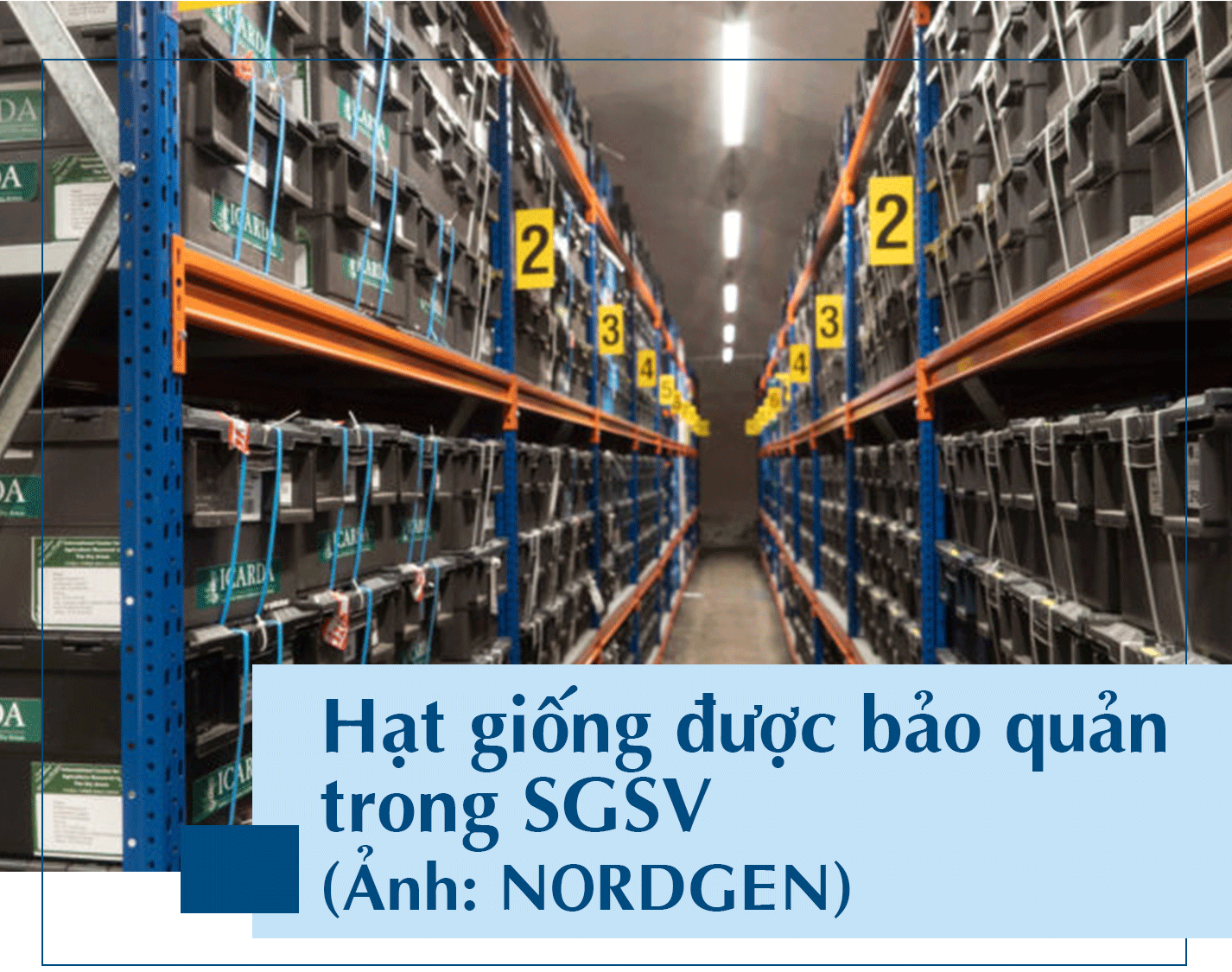 Vì sao căn hầm đặc biệt ở Na Uy được gọi là hầm chống tận thế? - 11