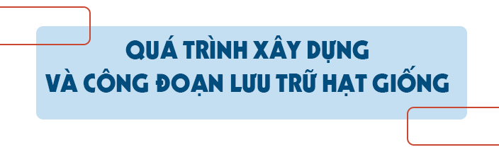 Vì sao căn hầm đặc biệt ở Na Uy được gọi là hầm chống tận thế? - 7