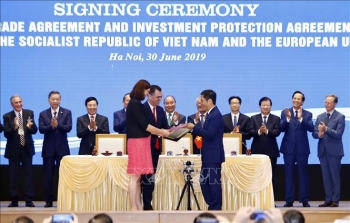 Chỉ định các cơ quan đầu mối để triển khai Hiệp định EVFTA