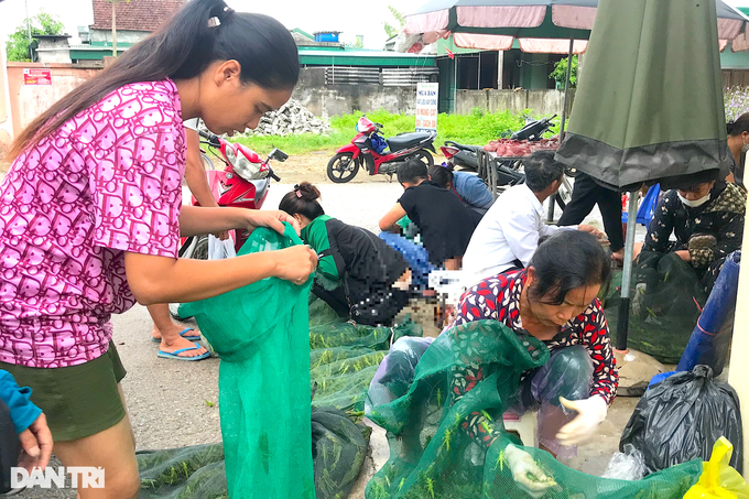 Chợ tôm bay hàng tuyển, ngoại cỡ ở ngoại ô  - 1