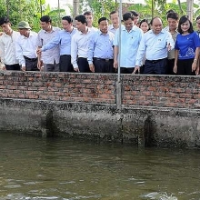 nong thon viet nam da moi hon