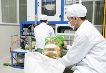 Quy định chứng nhận chủng loại gạo thơm xuất khẩu sang EU