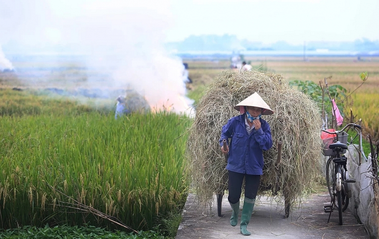 khoi rom ra phu trang cua ngo ha noi