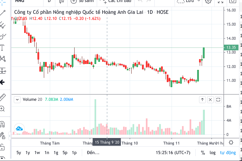 Cổ phiếu HNG cán mốc13