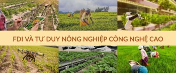 FDI và tư duy nông nghiệp công nghệ cao