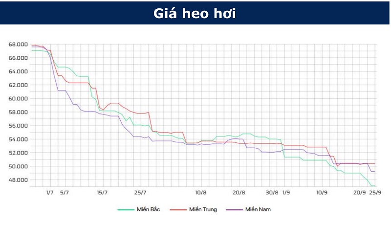 Giá thịt héo có xu hướng giảm nhưng dự báo sẽ tăng vào cuối năm 2021