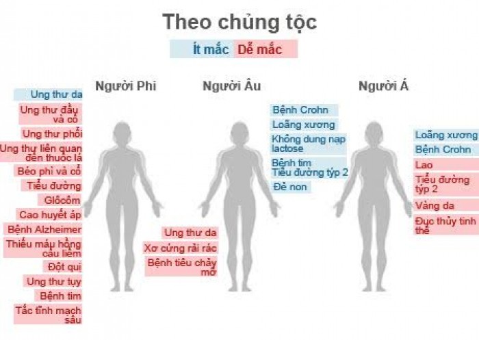 bat ngo ve moi lien quan giua cac bo phan co the va suc khoe