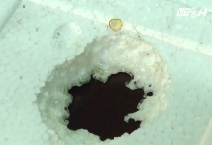 video dau ca omega 3 xuat xu trung quoc an mon thung mieng xop