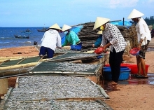 quang binh day manh phat trien du lich thanh nganh kinh te mui nhon