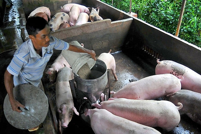 bao hiem nong nghiep nho be manh mun