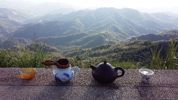 Rừng trà -  Biển tri thức