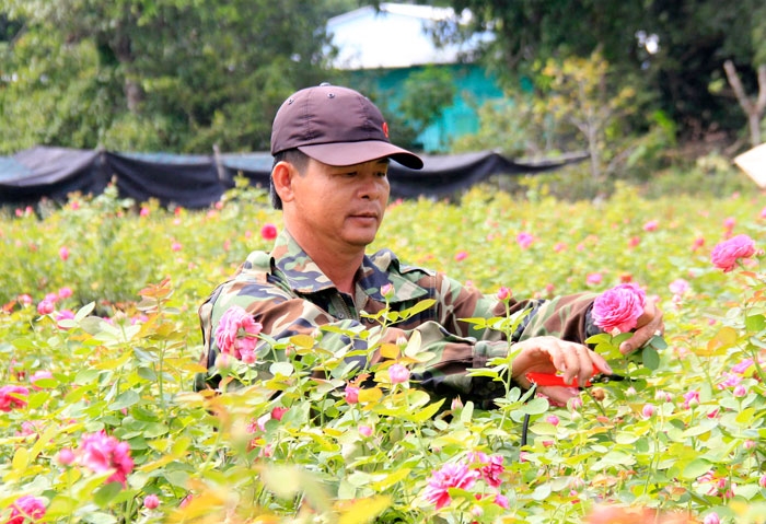 nghe xua suc song moi