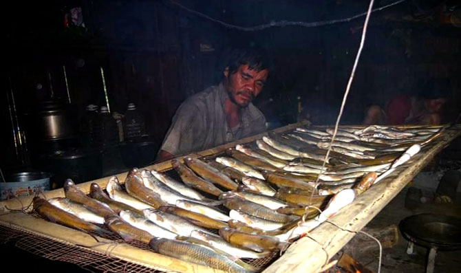 net van hoa doc dao