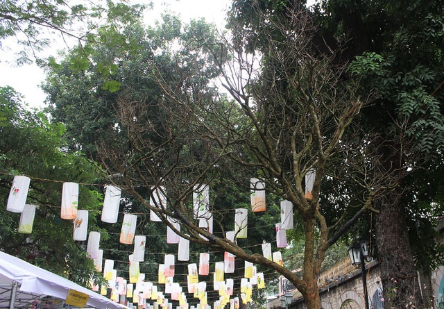 dai gia chi hon 3 ty dong van khong mua noi cay hoang mai 120 tuoi