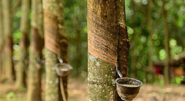 Ảnh minh họa.https://kinhtexaydung.petrotimes.vn