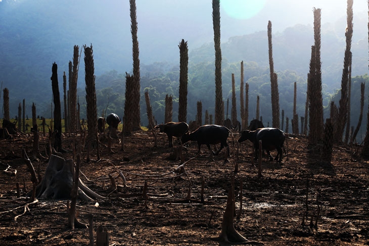 Na Hang - Vẻ đẹp hồi sinh