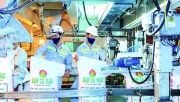 [PetrotimesTV] PVCFC: Năm 2021 bền bỉ nỗ lực bứt phá thành công