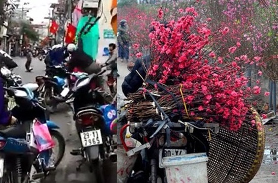 [VIDEO] Đi mua đào, 