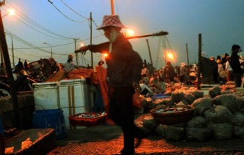Chuyện ở cảng cá lớn nhất miền Trung