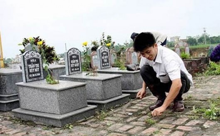 tao mo ngay xuan nhung dieu nen va khong nen lam