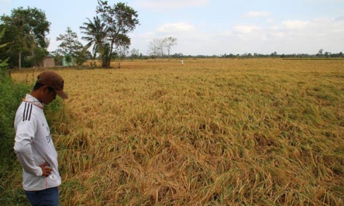 nuoc mat nha nong ky 1