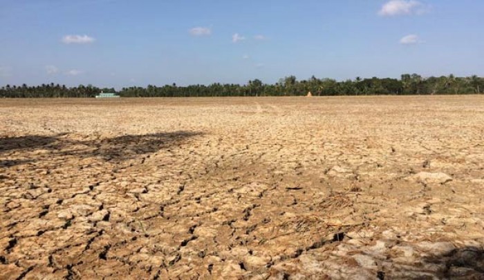 nuoc mat nha nong ky 1