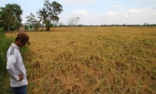 trung quoc tra loi ve viec xa nuoc tren song me kong