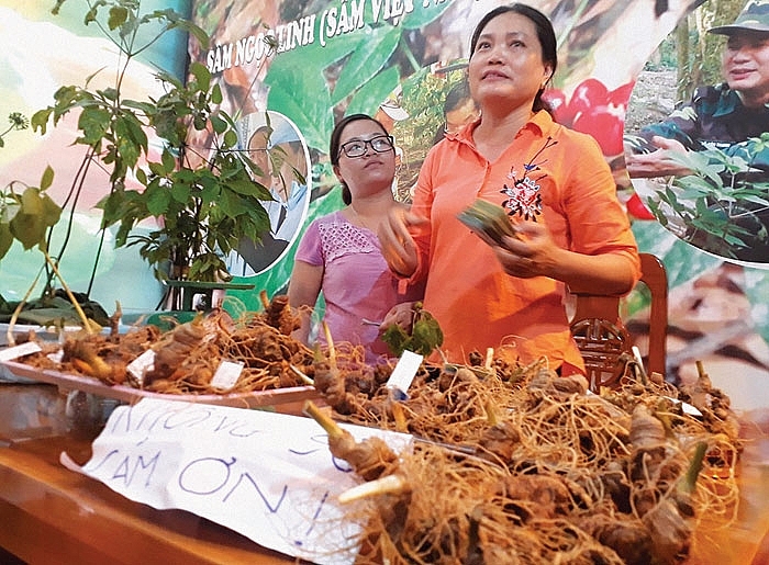 nhung ty phu sam o lung chung troi