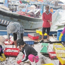 ngu dan binh dinh trung lon loc bien kiem tien trieu chi vai gio