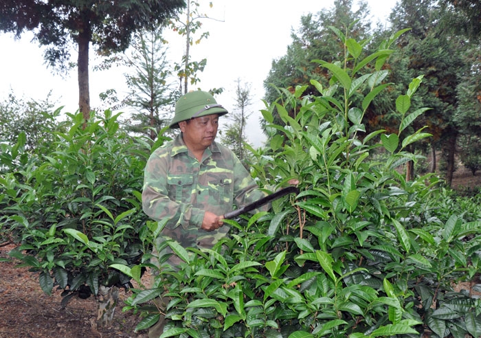 khat vong tren dinh chong ta gia