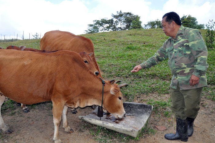 khat vong tren dinh chong ta gia