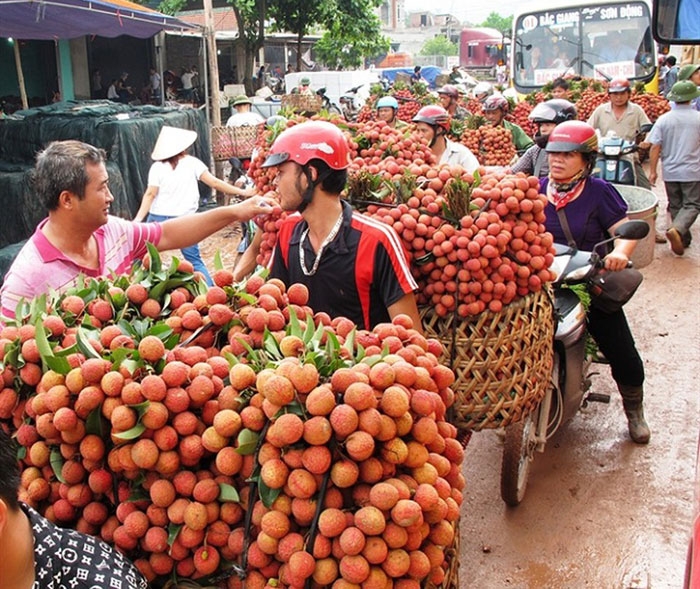 xuat khau sang trung quoc se ngay cang kho