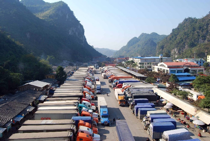 loi di nao cho xuat khau trong dai dich covid 19