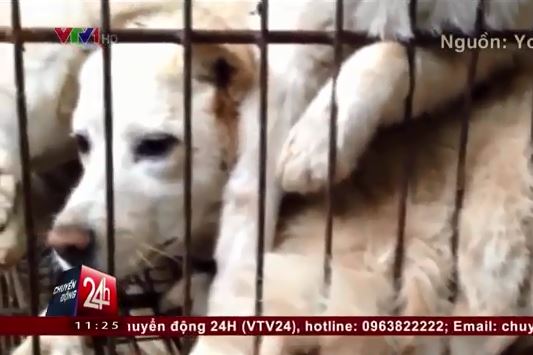 [VIDEO] Xúc động mạnh với 