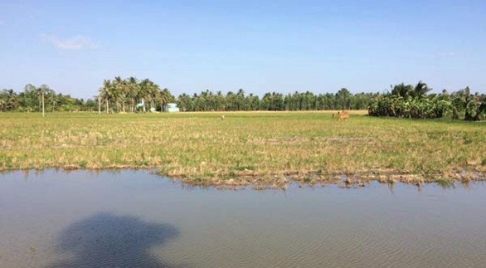 nuoc mat nha nong ky 2