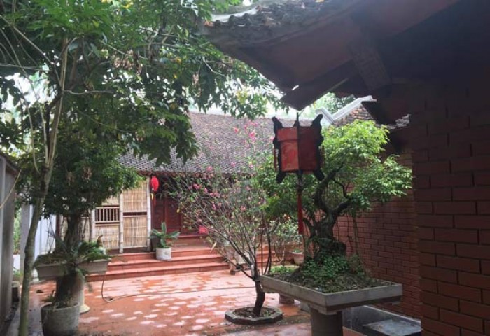 vuong rau xay biet phu tren dat nong nghiep trai phep