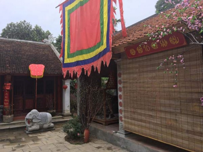 vuong rau xay biet phu tren dat nong nghiep trai phep