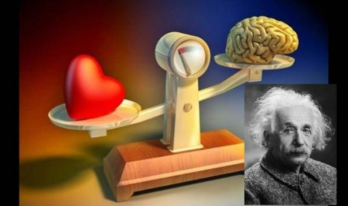 nguoi ta kham pha ra dieu gi khi phau thuat bo nao cua einstein