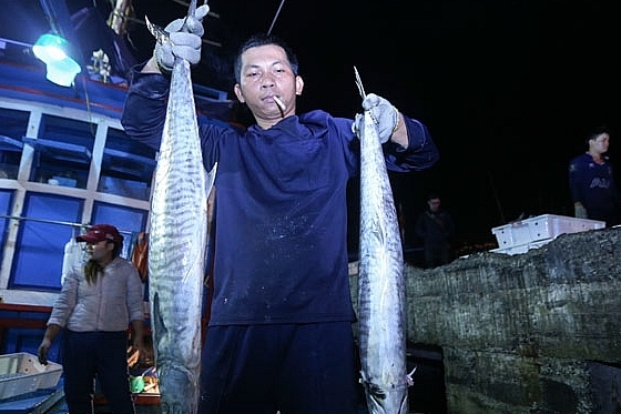 Những chuyến biển xuyên tết của ngư dân miền Trung