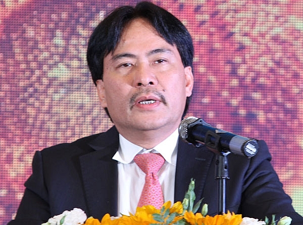 ruc ro nhung bong hong pvn