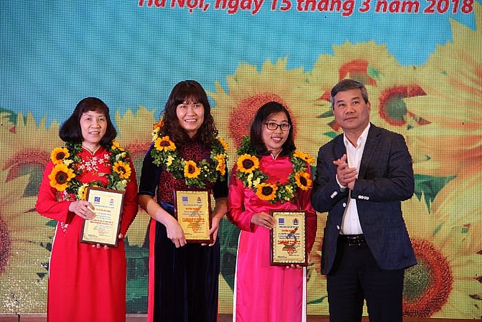 ruc ro nhung bong hong pvn