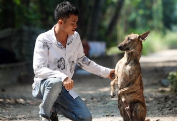 Sự thật về thần khuyển Việt Nam