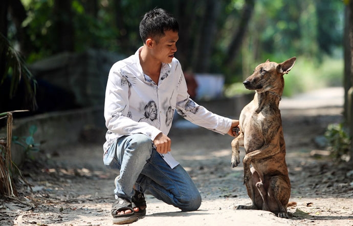 su that ve than khuyen viet nam