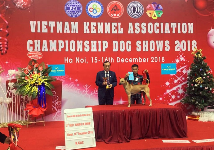 su that ve than khuyen viet nam