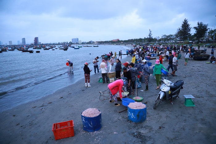 da nang mua ruoc muon