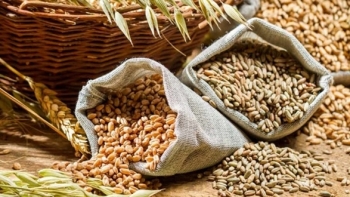 Giá nông sản ngày 1/3: Hàng loạt mặt hàng duy trì sắc xanh?